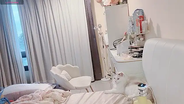 jiajia 0902 online show from 03.19.26