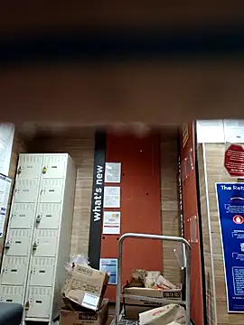 Dropdingo online show from 10.31.25