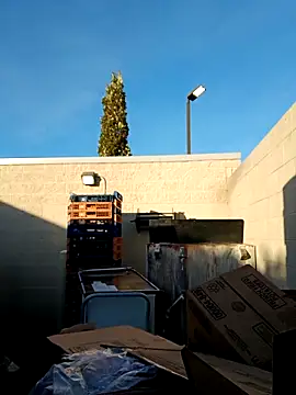 Dropdingo online show from 11.11.25