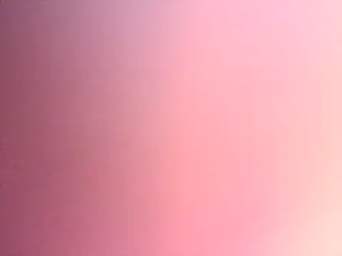 Dropdingo online show from 11.13.25