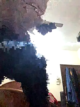 FlungBergenia online show from 12.21.25