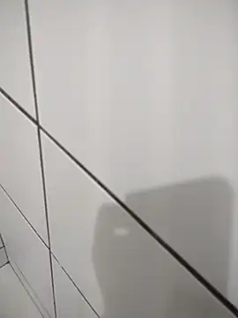 Novin23cms online show from 11.14.25