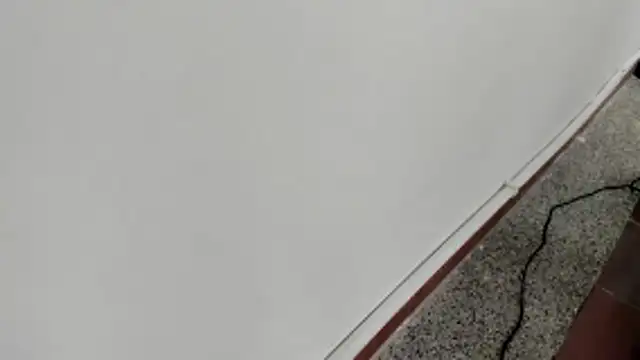 michelle perla online show from 01.15.26