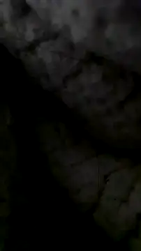 Snapshot of LanaAce719 chatting on 10.13.25 LanaAce719 online show from 10.13.25