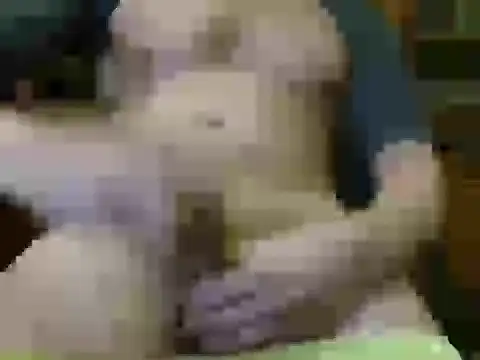 Snapshot of italian_max_sex chatting on 11.21.25 italian max sex online show from 11.21.25