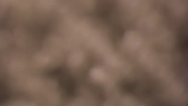 lauren bigboobs22 online show from 03.04.26