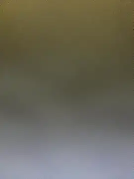 Adele Pinkk online show from 10.14.25