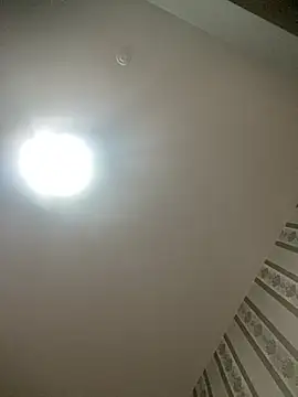 gaucha5 online show from 02.04.26