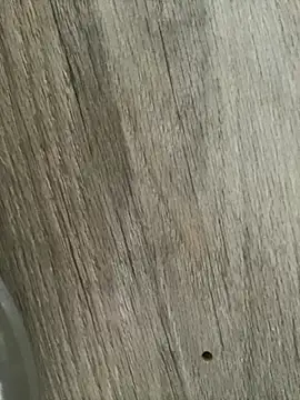 LunaSthena online show from 10.26.25