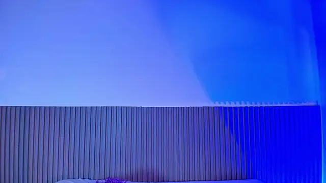 Alana 333 online show from 02.17.26