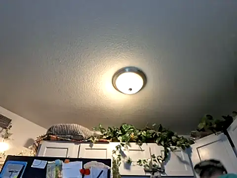 Snapshot of WWGD69 chatting on 03.03.26 WWGD69 online show from 03.03.26