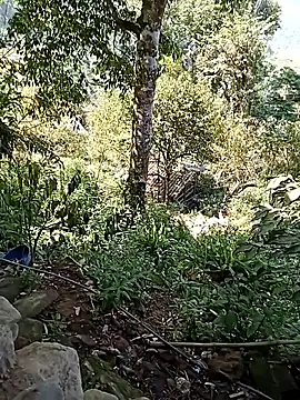 xinhxinhcute online show from 09.17.25