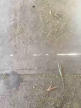 Chico031289 online show from 10.28.25