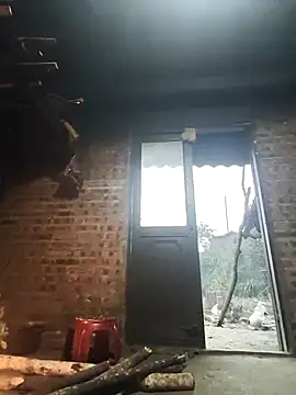 siki-00 online show from 01.12.26