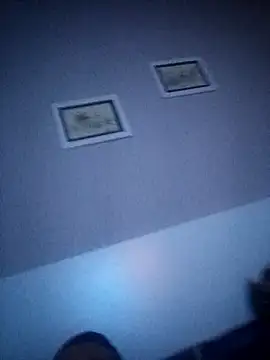 Snapshot of NiceBadgera chatting on 09.21.25 NiceBadgera online show from 09.21.25