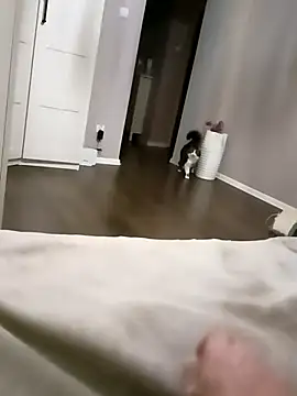 Snapshot of NiceBadgera chatting on 10.10.25 NiceBadgera online show from 10.10.25