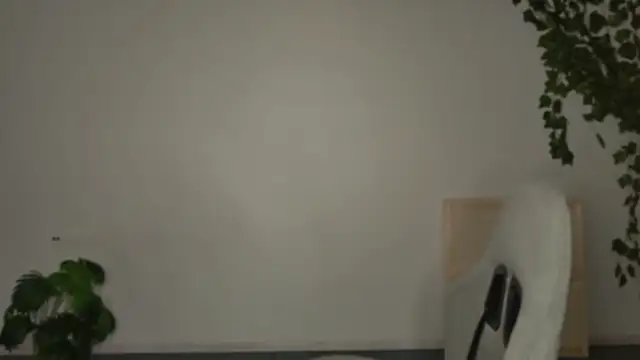 Snapshot of Yoka_paradoXXX chatting on 11.06.25 Yoka paradoXXX online show from 11.06.25