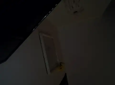Daphneflor online show from 05.25.26