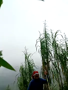 kemtuoi-sex online show from 04.01.26