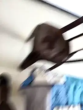 Chanderi19 online show from 09.30.25