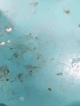 haryanaboypanipat12 online show from 04.09.26