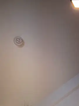 Andrestarr online show from 03.11.26