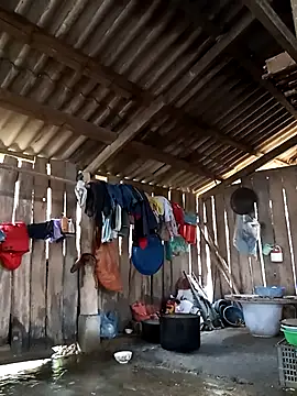 Snapshot of bonnie-00 chatting on 02.15.26 bonnie-00 online show from 02.15.26