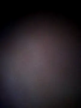 thehotlady online show from 10.24.25