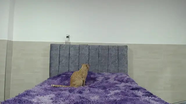  ruby red online show from 11.20.25