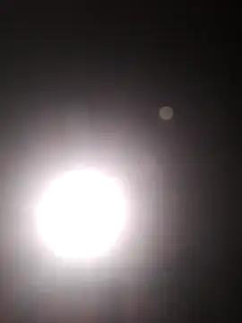 Cachorrinha2025 online show from 10.22.25