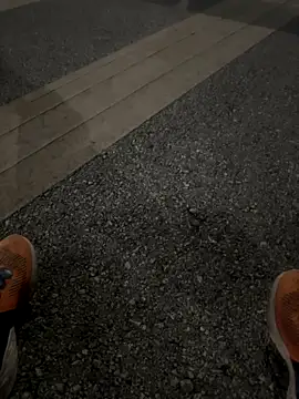 CZpublic online show from 10.20.25