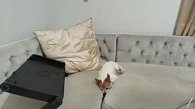 BarbieKarly online show from 12.01.25