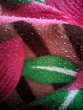 bold guy 1234 online show from 10.15.25