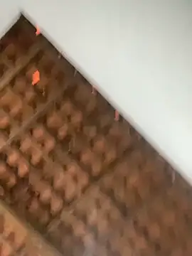 Milenvs online show from 03.05.26