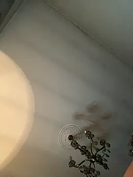 STRIPsegale online show from 02.17.26