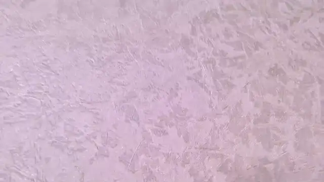 paulina cano online show from 12.21.25