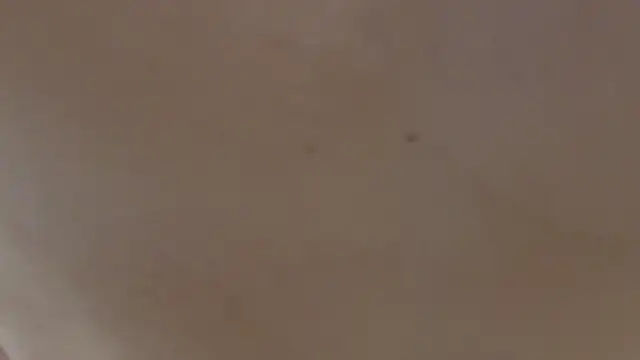 ZaneDawson online show from 09.23.25