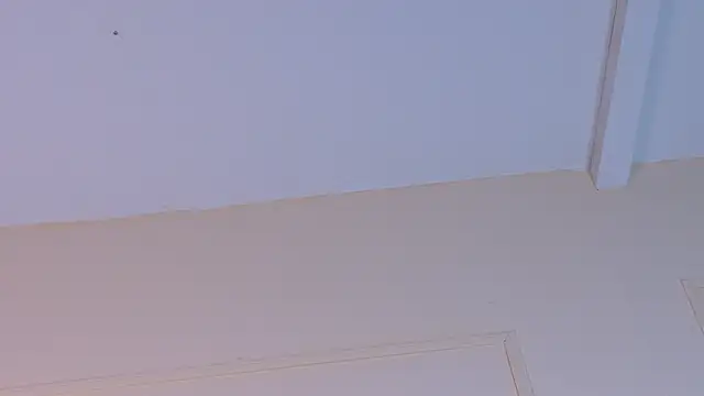 ZaneDawson online show from 02.01.26