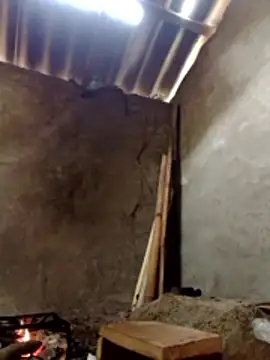 donna-bae online show from 03.13.26