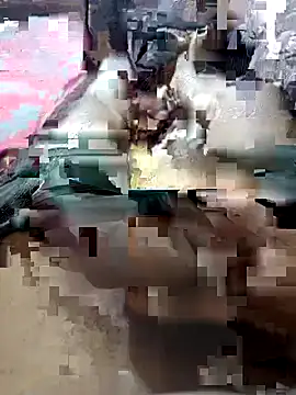 Snapshot of UnbowedAgronomy chatting on 02.14.26 UnbowedAgronomy online show from 02.14.26