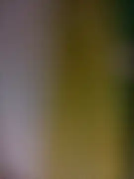 tulipsexy online show from 02.19.26