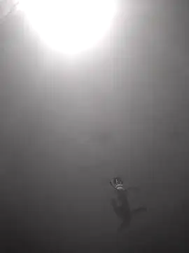 Hott cutgirl online show from 10.16.25