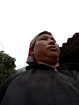 callistra online show from 11.20.25