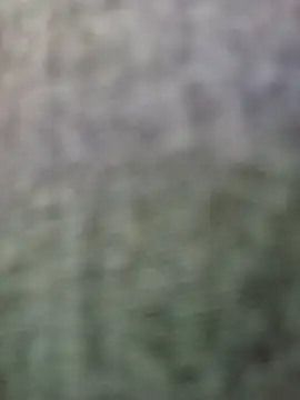 JeffersonRay online show from 01.07.26