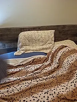 sw33th3art online show from 11.23.25