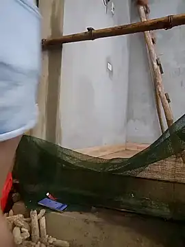 phuongxinhxan online show from 03.22.26