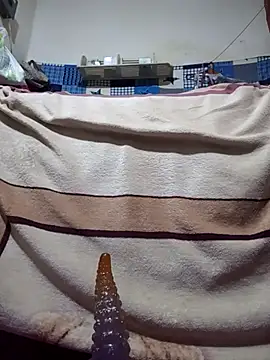 calntt28 online show from 02.12.26