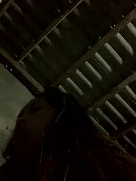 Halyy xx online show from 01.12.26