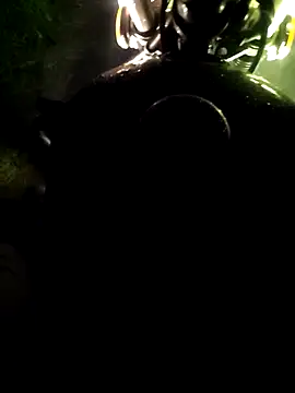 DICKLANKA online show from 04.15.26