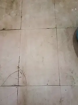 TeluguCuplehyd online show from 09.20.25